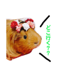 女子力高めなぷりんちゃん（個別スタンプ：8）