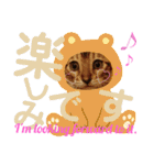 ベンガルLeonちゃん3（個別スタンプ：5）
