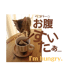 ベンガルLeonちゃん3（個別スタンプ：36）