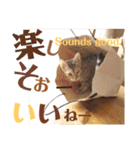 ベンガルLeonちゃん3（個別スタンプ：39）