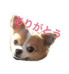 うーーーちゃん（個別スタンプ：1）