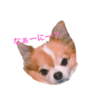 うーーーちゃん（個別スタンプ：2）