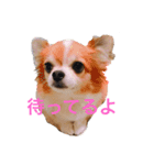 うーーーちゃん（個別スタンプ：4）