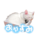 もあとふう（個別スタンプ：2）