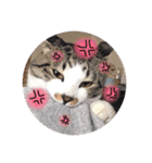 もあとふう（個別スタンプ：3）