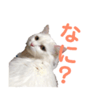 もあとふう（個別スタンプ：6）