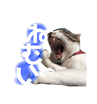 もあとふう（個別スタンプ：7）