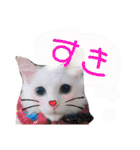もあとふう（個別スタンプ：8）