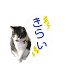 もあとふう（個別スタンプ：9）