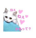 もあとふう（個別スタンプ：13）