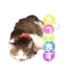 もあとふう（個別スタンプ：16）