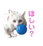 もあとふう（個別スタンプ：18）