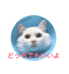 もあとふう（個別スタンプ：19）