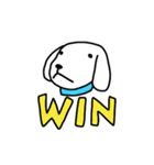 クイズ犬 Quiz-Dog（個別スタンプ：5）
