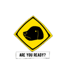 クイズ犬 Quiz-Dog（個別スタンプ：23）