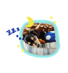 choko♪（個別スタンプ：6）