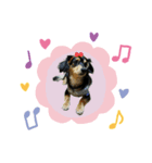 choko☆☆（個別スタンプ：1）
