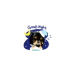 choko☆☆（個別スタンプ：2）
