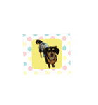 choko☆☆（個別スタンプ：3）