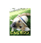 初めてあずきちゃんです！（個別スタンプ：3）