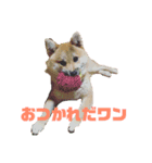 初めてあずきちゃんです！（個別スタンプ：4）