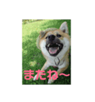初めてあずきちゃんです！（個別スタンプ：8）