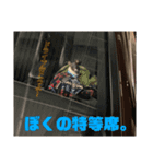 さらにイタグレのコマツナくん（個別スタンプ：16）