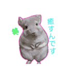 チンチラーず敬語あり（個別スタンプ：4）