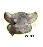 チンチラーず敬語あり（個別スタンプ：7）