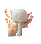 チンチラーず敬語あり（個別スタンプ：8）