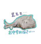 チンチラーず敬語あり（個別スタンプ：13）