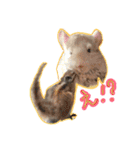チンチラーず敬語あり（個別スタンプ：15）