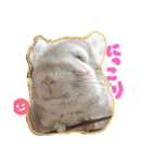 チンチラーず敬語あり（個別スタンプ：18）