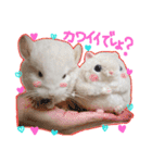 チンチラーず敬語あり（個別スタンプ：30）