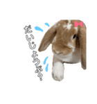 うさぎのはなちゃん2（個別スタンプ：3）