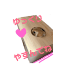うさぎのはなちゃん2（個別スタンプ：6）