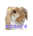 うさぎのはなちゃん2（個別スタンプ：9）