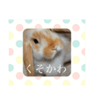 うさぎのはなちゃん2（個別スタンプ：21）