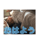 ゆうたんの日常Part2（個別スタンプ：1）