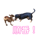 ぺれとぴことちぴ（個別スタンプ：4）