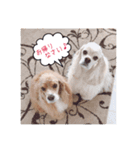 リロ＆ベル その2（個別スタンプ：1）
