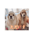 リロ＆ベル その2（個別スタンプ：4）