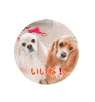 リロ＆ベル その2（個別スタンプ：9）