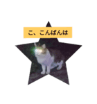 猫幸cat'smoonのスタンプ（個別スタンプ：4）