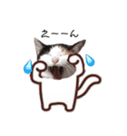 ツンデレのるびたんです。（個別スタンプ：12）