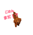 といぷーレオ スタンプ（個別スタンプ：1）