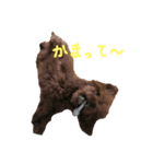 といぷーレオ スタンプ（個別スタンプ：7）