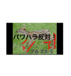 ドクターZ（個別スタンプ：3）