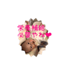 にいちゃんと双子のスタンプ（個別スタンプ：18）