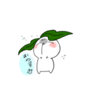 カブちゃん（個別スタンプ：1）